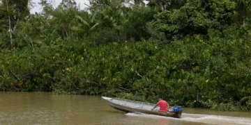 Dino determina obrigatoriedade da adoção do Sinaflor para emissão de ASV