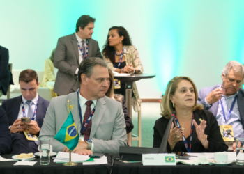 Fávaro reforça transparência e sustentabilidade da agropecuária brasileira em reunião do CAS