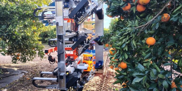Fundecitrus realiza teste de colheita automatizada na Espanha