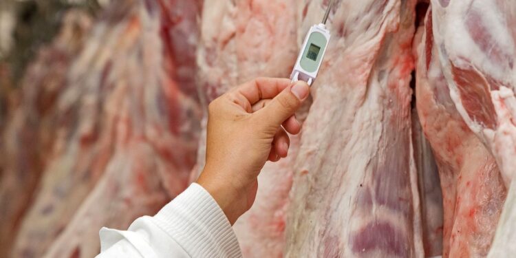 Apesar de queda nas exportações para a China embarques de carne bovina crescem