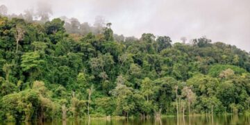 COP30 em Belém deve marcar transição para ação climática efetiva, afirma embaixador brasileiro