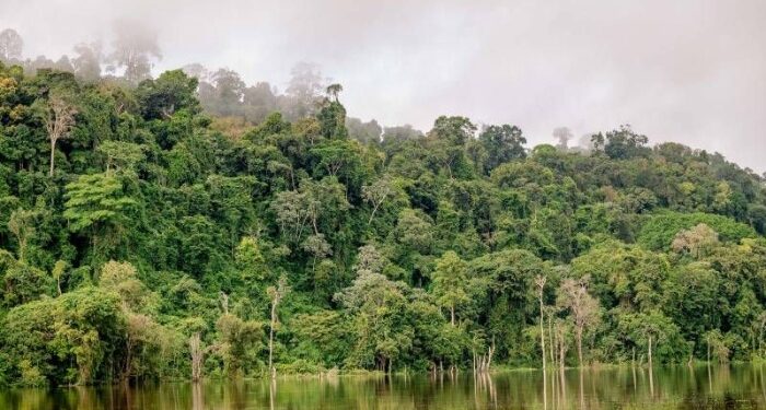 COP30 em Belém deve marcar transição para ação climática efetiva, afirma embaixador brasileiro