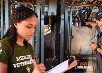 ABCZ inicia Programa Nacional de Avaliação de Touros Jovens