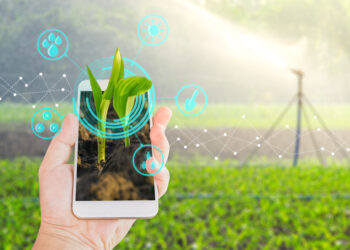 Avanço da IoT e do 5G redefine produção agrícola no Brasil