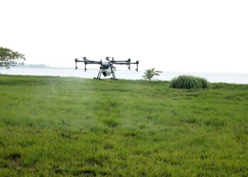 Entidade questiona ausência de regulamentação específica de proibição da pulverização aérea de agrotóxicos