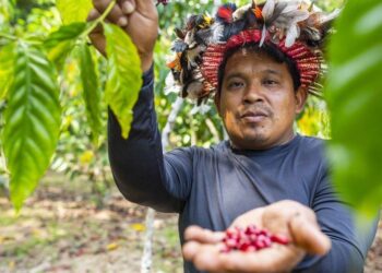 Governo aumenta investimentos no PAA Indígena para promover segurança alimentar