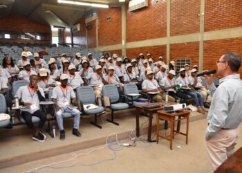 Jovens angolanos recebem capacitação sobre cadeia produtiva do cacau na Bahia