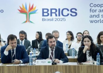 GT da Agricultura do BRICS se reúnem para discutir desafios globais
