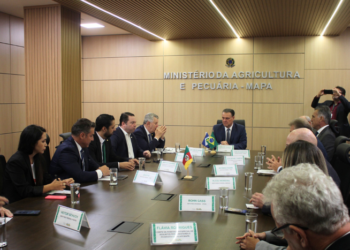 Ministério da Agricultura cria grupo de trabalho para enfrentar impactos climáticos no campo