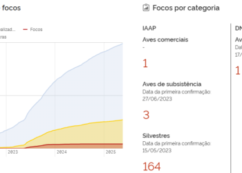 Brasil mantém painel de monitoramento contra influenza aviária e Doença de Newcastle