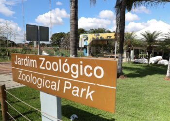 Zoológico de Brasília é fechado temporariamente após morte de aves de vida livre; autoridades investigam possível caso de gripe aviária