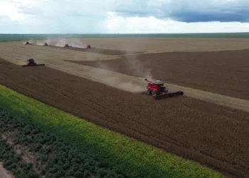 Colheita recorde e alta demanda externa sustentam ritmo das exportações brasileiras de grãos