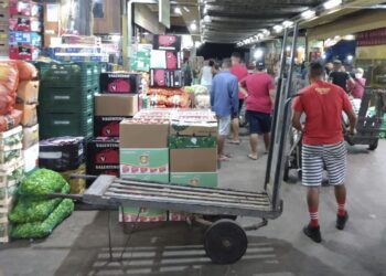 Oscilações climáticas, entressafra e logística impactam preços de hortigranjeiros em maio