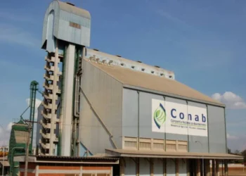 Equipe da Conab participa de missão técnica de cooperação sobre sistemas alimentares no México