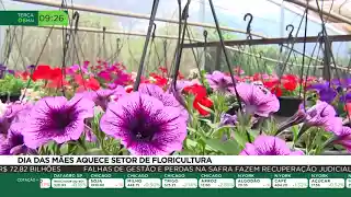 Dia das Mães aquece setor de floricultura