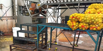 Fiscalização fecha fábricas de suco que atuavam clandestinamente em SP