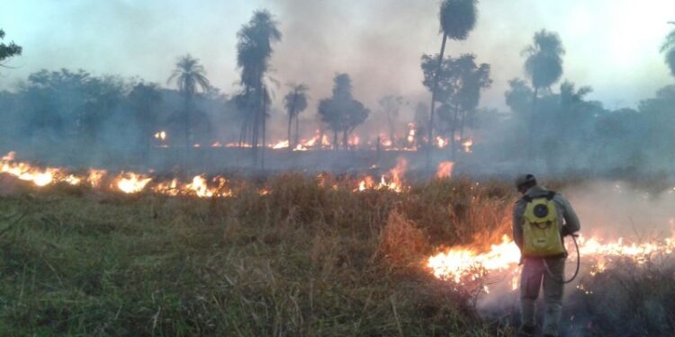 Aprosoja MT reforça ações preventivas contra incêndios e combate estigmatização do produtor rural