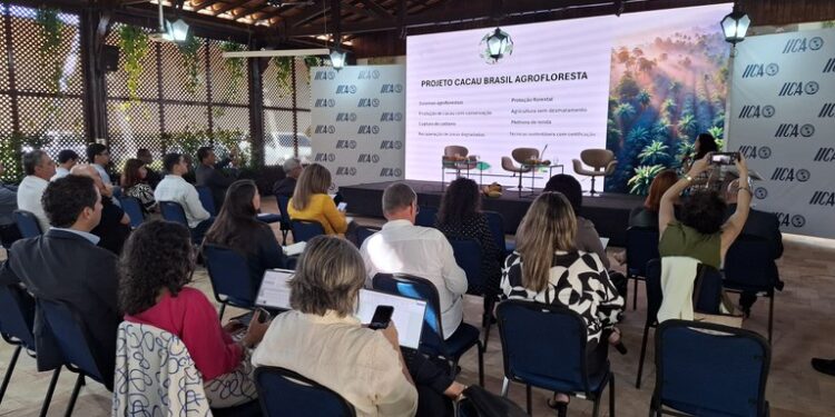 Brasil fortalece produção de cacau sustentável com sistemas agroflorestais e foco climático