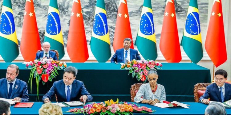 Brasil e China firmam cooperação inédita para restauração vegetal e combate às mudanças climáticas