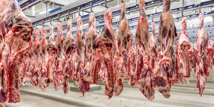 Mercado do boi gordo segue firme com escalas curtas e alta nas exportações