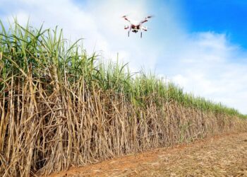 Agro é responsável por 29% da energia produzida no Brasil, aponta estudo da FGV