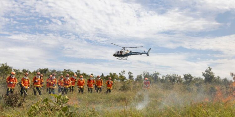 ForestFire 2025 reúne especialistas de 10 países e promove feira gratuita de tecnologias em Cuiabá