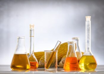 Embrapa coordenará grupo para ampliar inclusão de pequenos produtores na cadeia de biocombustíveis