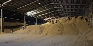 PF deflagra operações contra fraudes em cargas de grãos no Paraná e em Mato Grosso