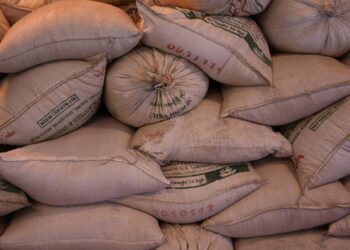 Exportações brasileiras de arroz beneficiado crescem 82% em maio