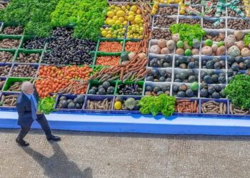 Plano Safra da Agricultura Familiar 2025/2026 destina R$ 89 bilhões e amplia apoio ao produtor de alimentos