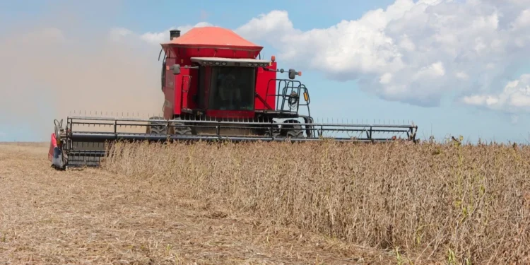 Safra 2025 supera expectativas e deve bater recorde de produção com 333,3 milhões de toneladas