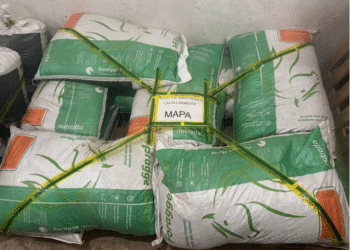 Surto de contaminação em rações da Nutratta já causou 245 mortes de cavalos em quatro estados