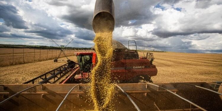 Exportações, sustentabilidade e crédito emergencial marcam a semana do agro brasileiro