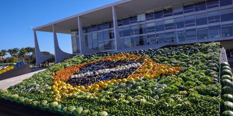 Conab alerta sobre golpes envolvendo falsas doações de alimentos e insumos