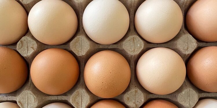 Com demanda em baixa, preço dos ovos recua em julho e setor monitora impacto de tarifa dos EUA