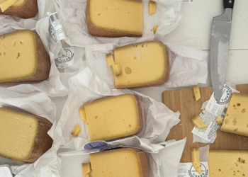 Mapa participa de processo de exportação de queijo premiado paulista para os Estados Unidos