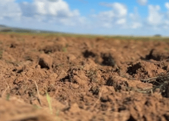 FPA articula derrubada de vetos ao licenciamento ambiental e critica metas do Plano Clima para o agro