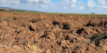 FPA articula derrubada de vetos ao licenciamento ambiental e critica metas do Plano Clima para o agro