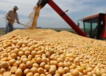 Aprosoja-MT defende fim da moratória da soja e diz que medida afeta pequenos produtores
