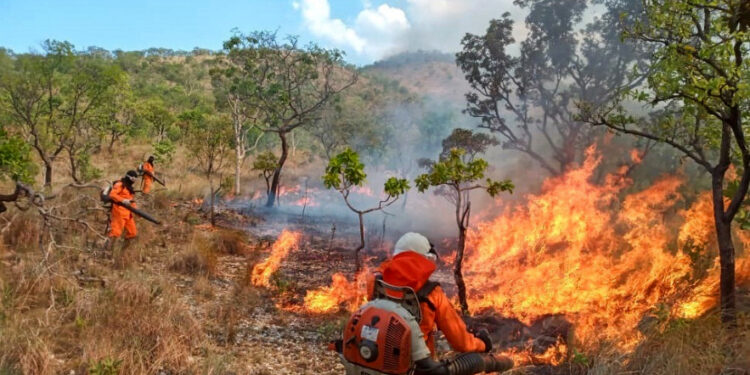 Tocantins registra queda de 28,7% na área queimada