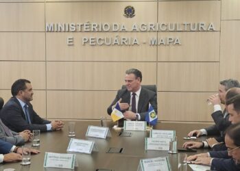 Tocantins busca apoio do governo federal para minimizar impactos de tarifa dos EUA e ampliar exportações