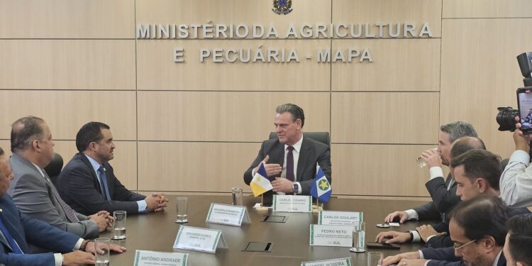 Tocantins busca apoio do governo federal para minimizar impactos de tarifa dos EUA e ampliar exportações