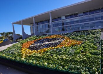 Certificado fitossanitário do Mapa ultrapassa 20 mil emissões