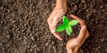 Quatro décadas de mudanças no uso da terra no Brasil revelam perdas ambientais e novas fronteiras agrícolas