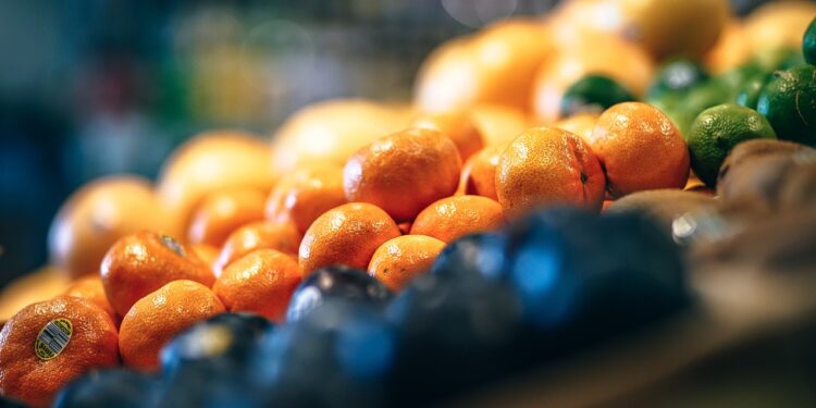 Tarifa de 50% dos EUA ameaça R$ 2,9 bilhões da cadeia citrícola brasileira