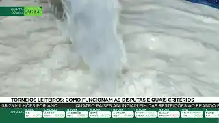 Torneios leiteiros: Como funcionam as disputas e quais os critérios