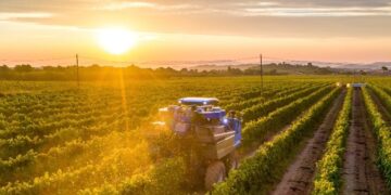 Novo sistema de cadastro rural promete transparência, mas amplia rigor fiscal