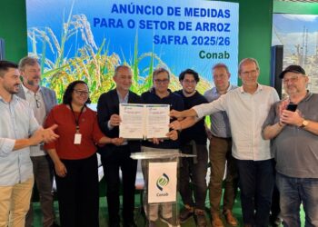 Conab destina R$ 300 milhões para novos contratos de opção de venda de arroz