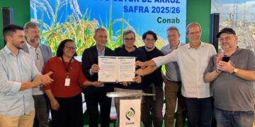 Conab destina R$ 300 milhões para novos contratos de opção de venda de arroz