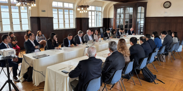 Mapa apresenta programa Caminho Verde Brasil a representantes da China